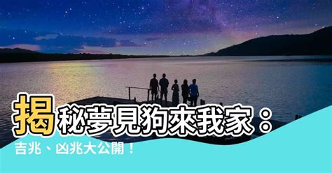 夢見狗來我家|夢見狗來我家